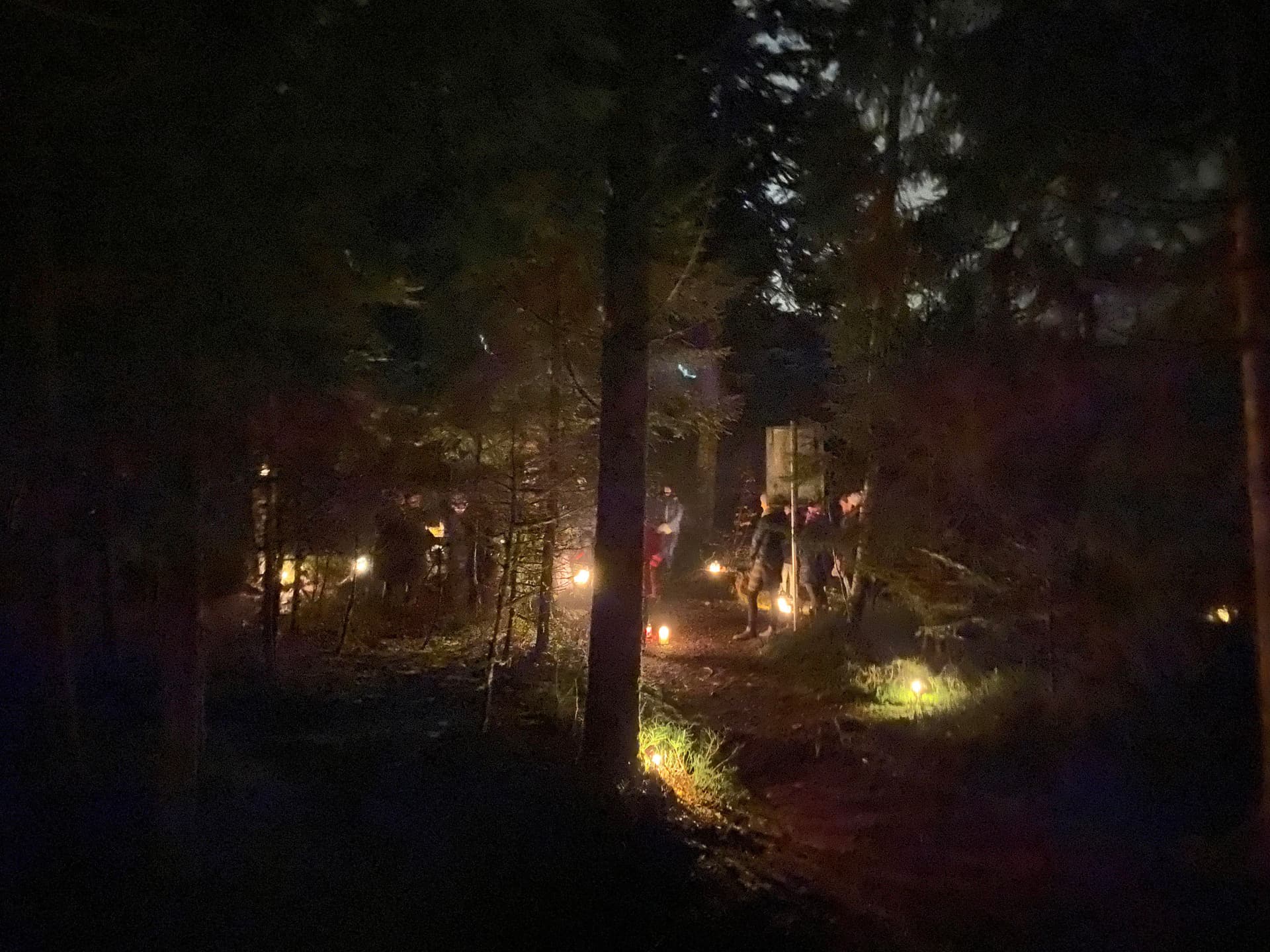 Waldadvent