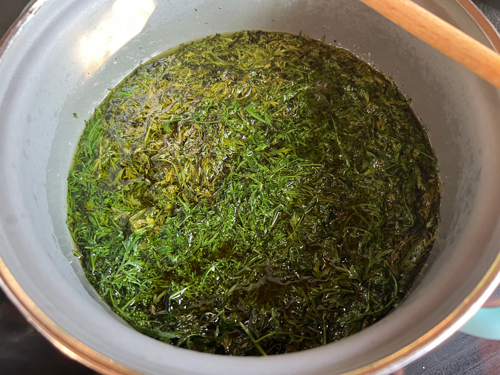 Urtinktur Artemisia Annua Vorschaubild 5