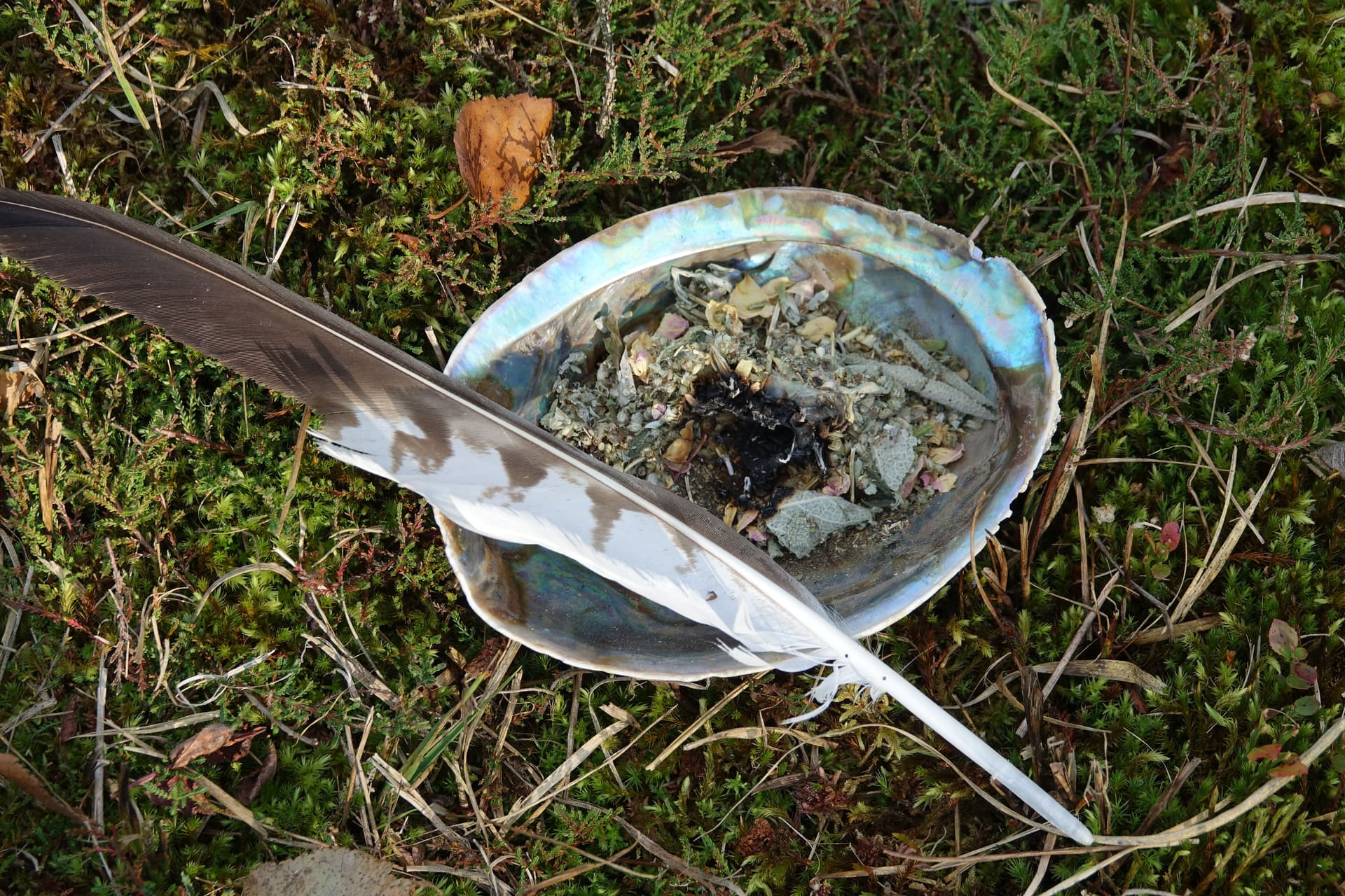 Waldadvent Headerbild