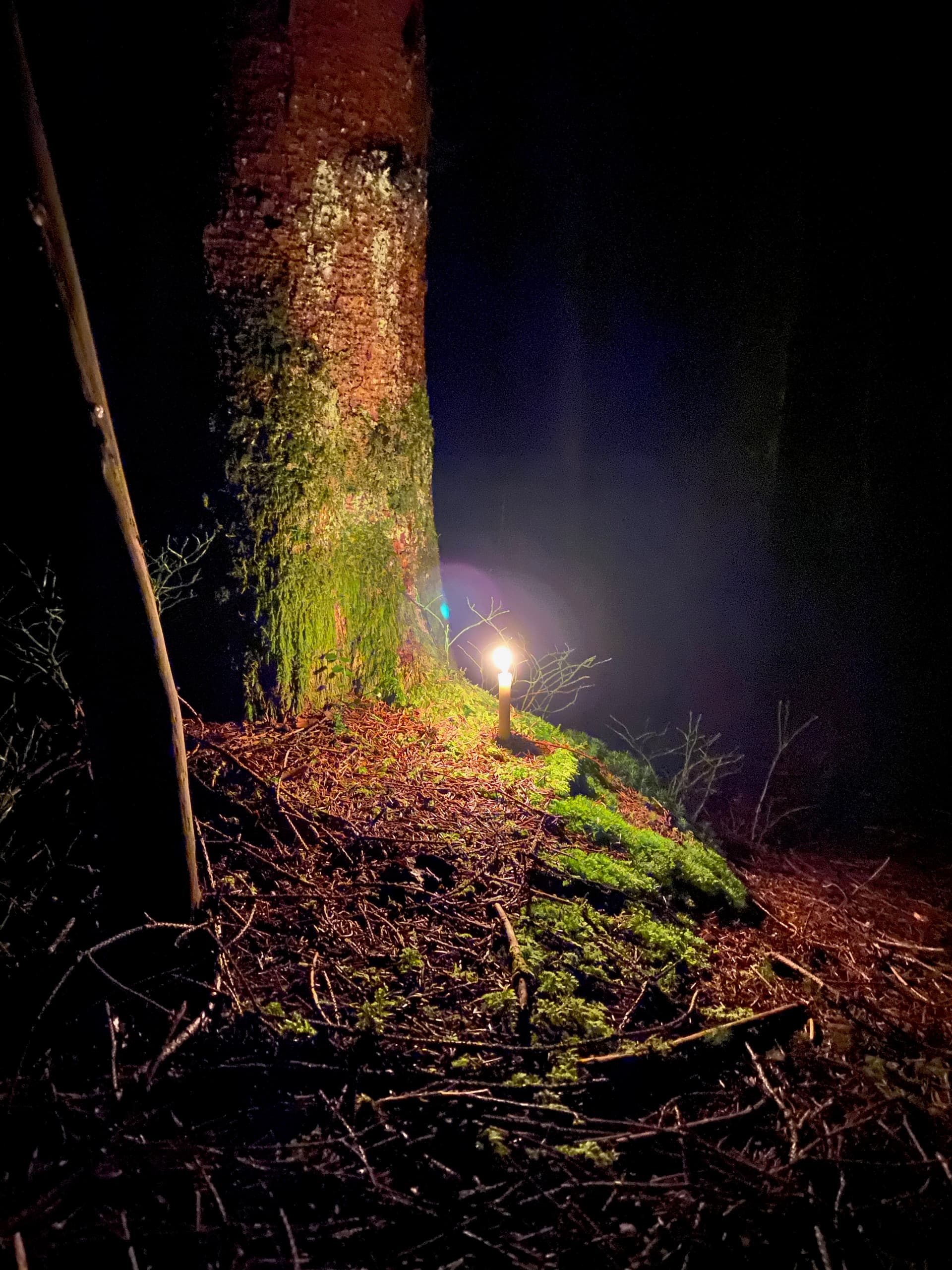 Waldadvent