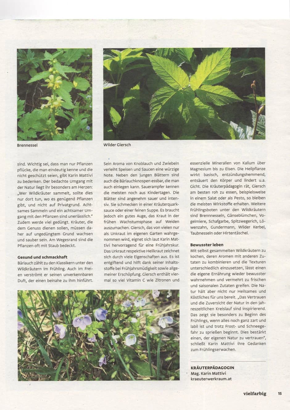 Auf den Spuren der Wildkräuter - Beitrag im Magazin vielfarbig Galeriebild 2