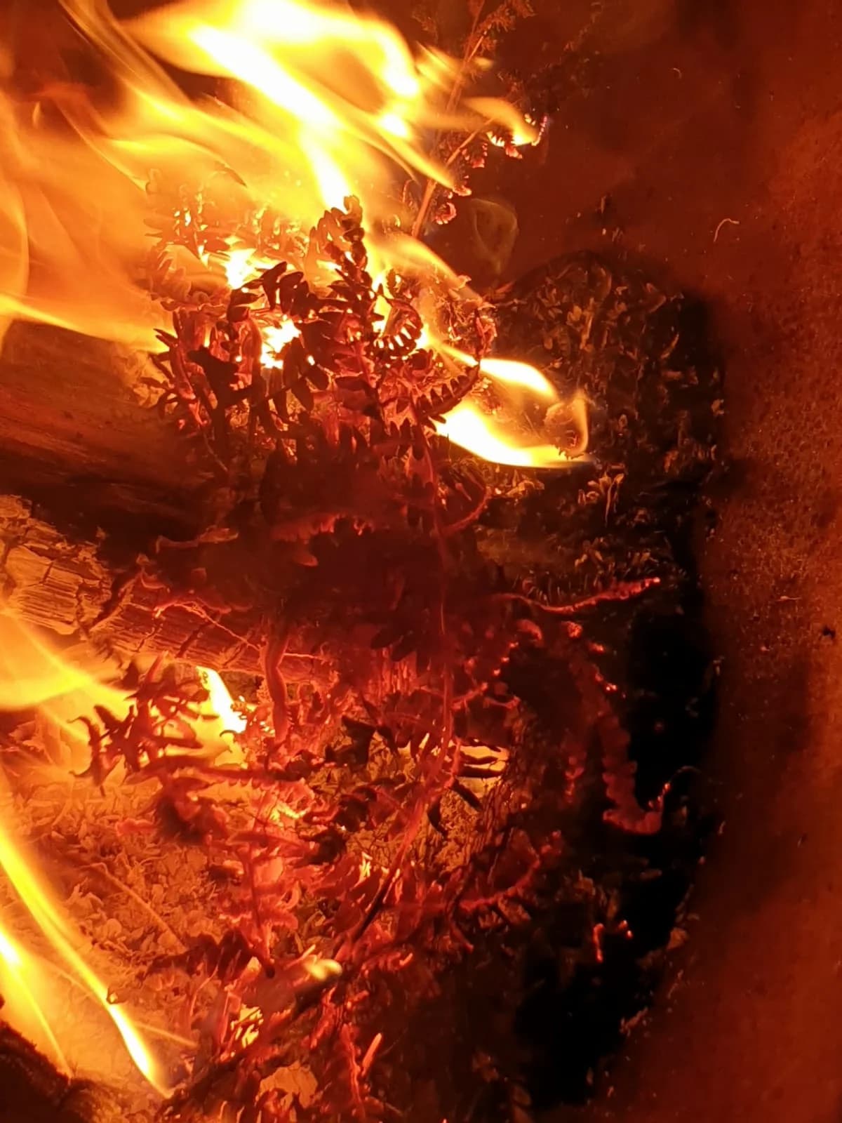 SAMHAIN ... von der Dunkelheit und unseren AhnInnen Galeriebild 11