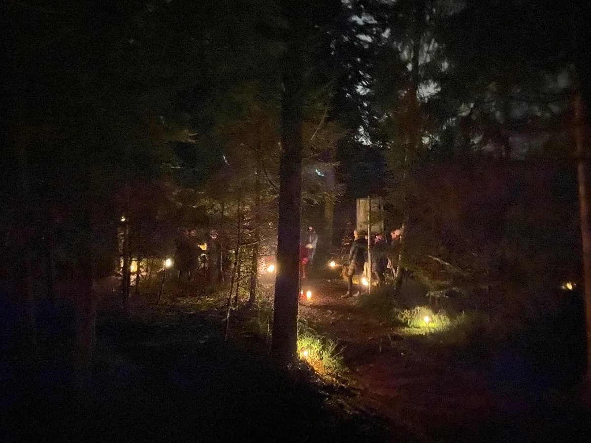 Waldadvent Galeriebild 1