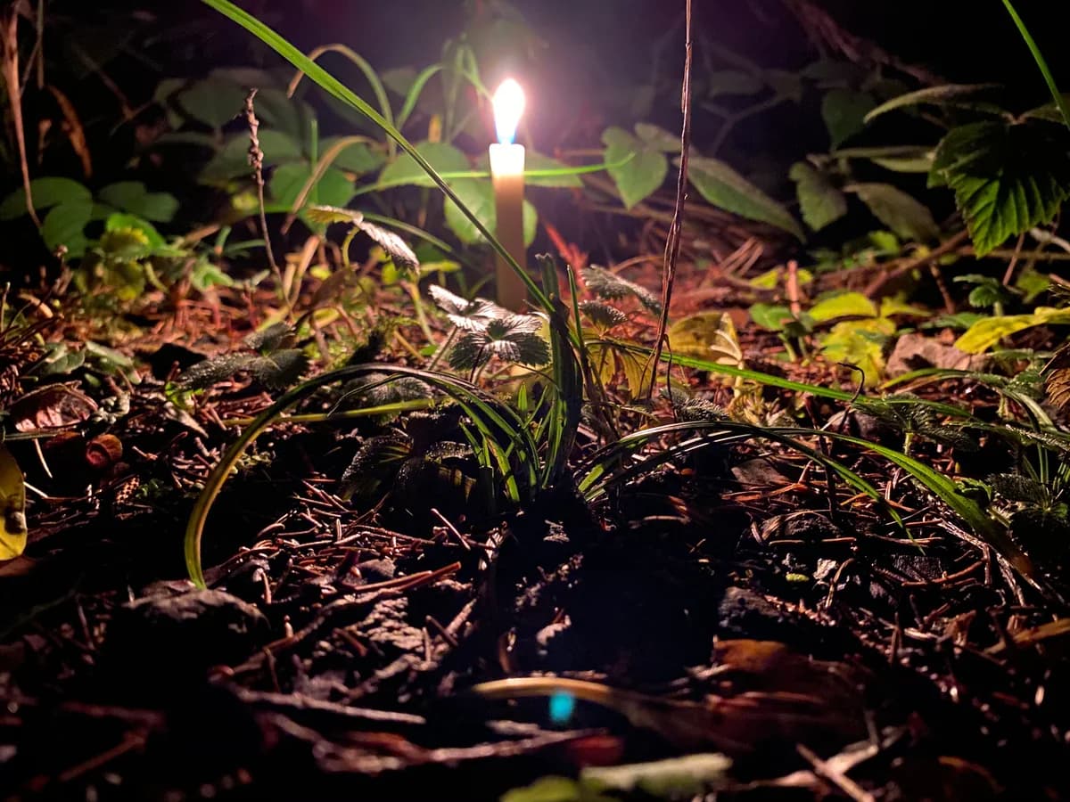 Waldadvent Galeriebild 5