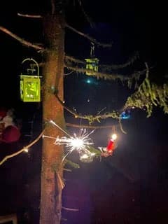 Waldadvent Galeriebild 9