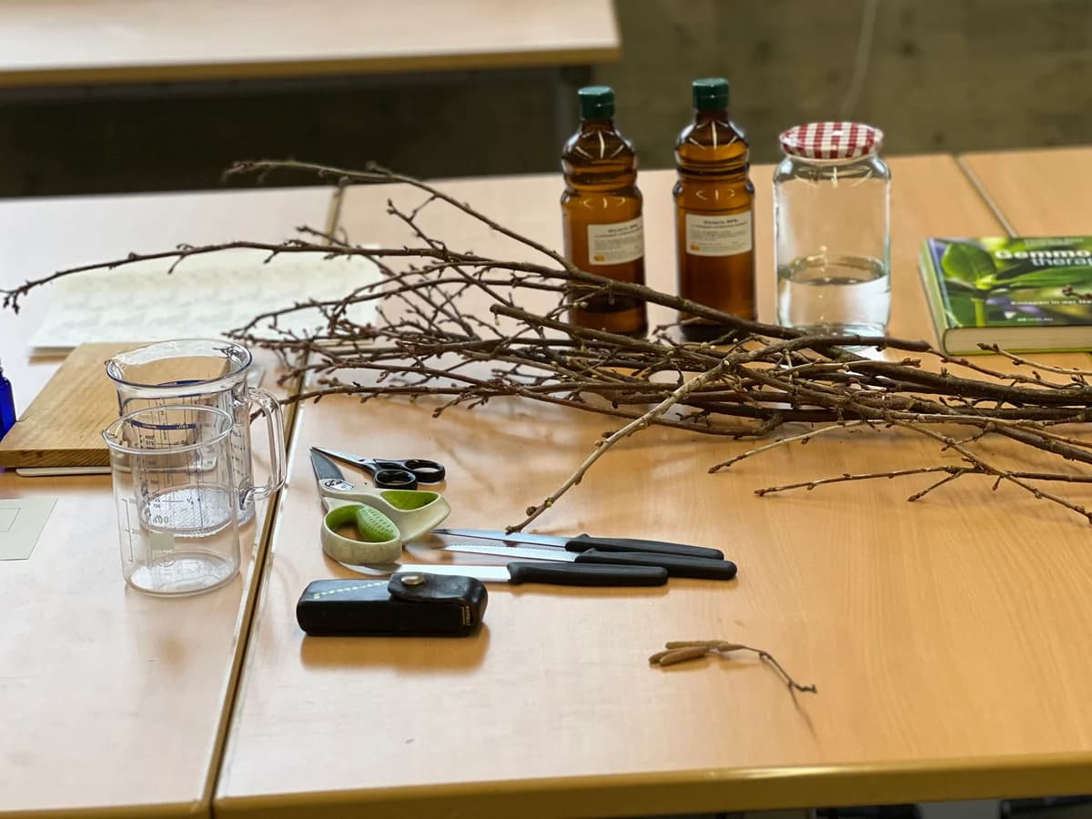 Workshop in der HLW Marienberg: Heilpflanzen - ihr Wesen, ihre Wirkung, ihre Verarbeitung ... Galeriebild 11