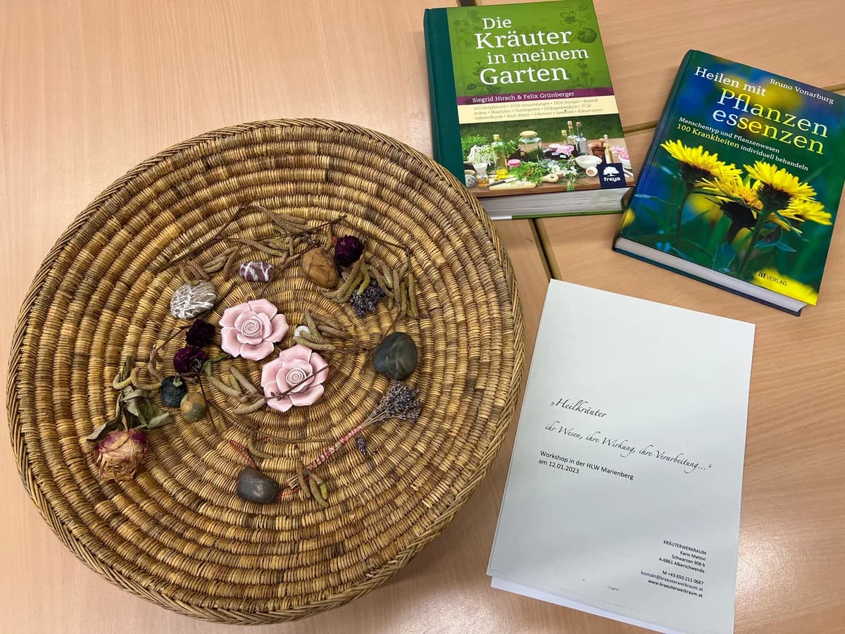 Workshop in der HLW Marienberg: Heilpflanzen - ihr Wesen, ihre Wirkung, ihre Verarbeitung ... Galeriebild 2