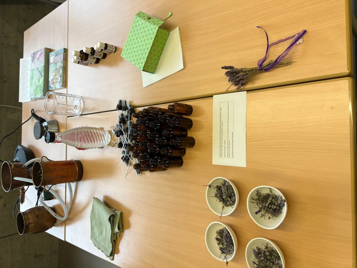 Workshop in der HLW Marienberg: Heilpflanzen - ihr Wesen, ihre Wirkung, ihre Verarbeitung ... Galeriebild 3