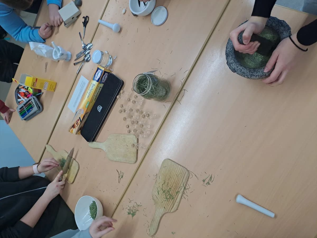 Workshop in der HLW Marienberg: Heilpflanzen - ihr Wesen, ihre Wirkung, ihre Verarbeitung ... Galeriebild 5