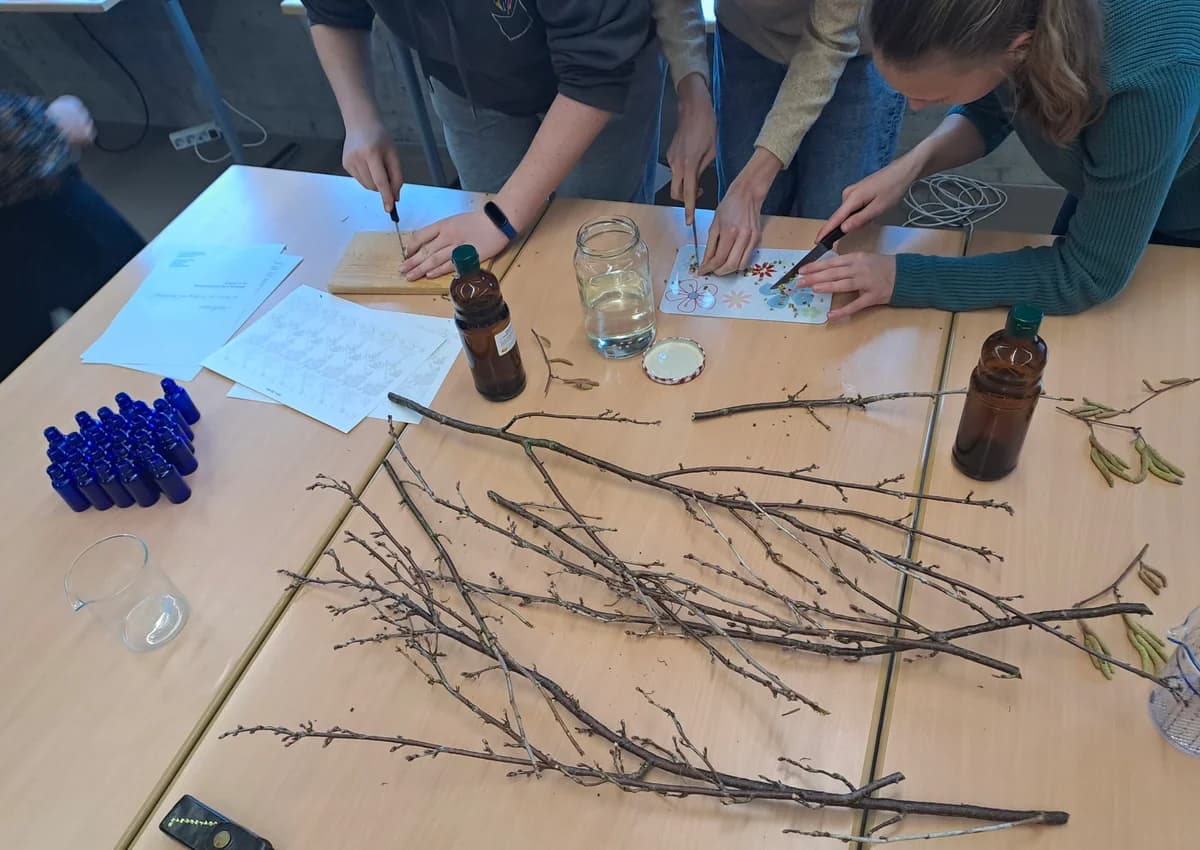 Workshop in der HLW Marienberg: Heilpflanzen - ihr Wesen, ihre Wirkung, ihre Verarbeitung ... Galeriebild 8