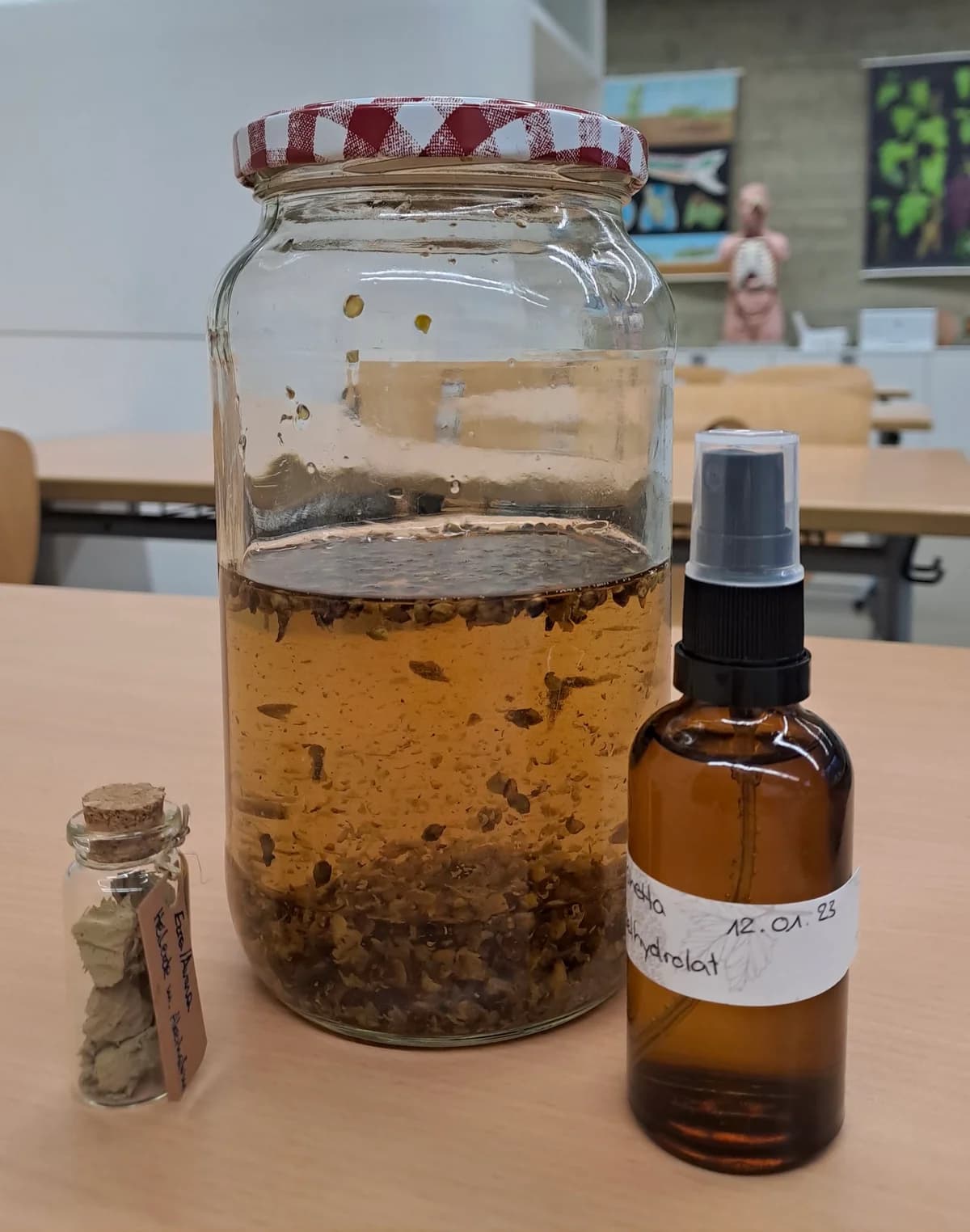 Workshop in der HLW Marienberg: Heilpflanzen - ihr Wesen, ihre Wirkung, ihre Verarbeitung ... Galeriebild 9