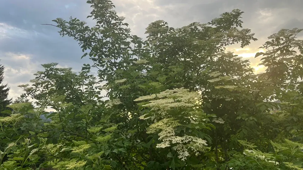 Über uns Headerbild