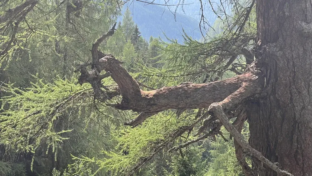 Geschichten Headerbild