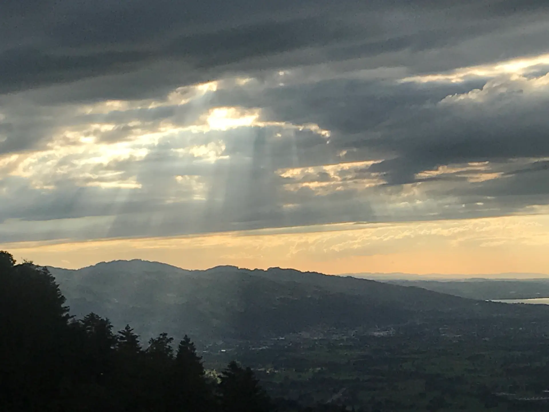 Newsletter Samhain 2020