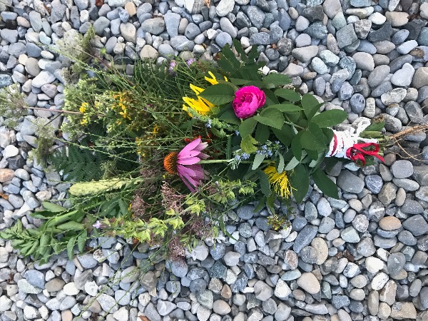 Ende April, und Anfang Juli
WELCH EIN SCHATZ FÜR'S WOHLBEFINDEN