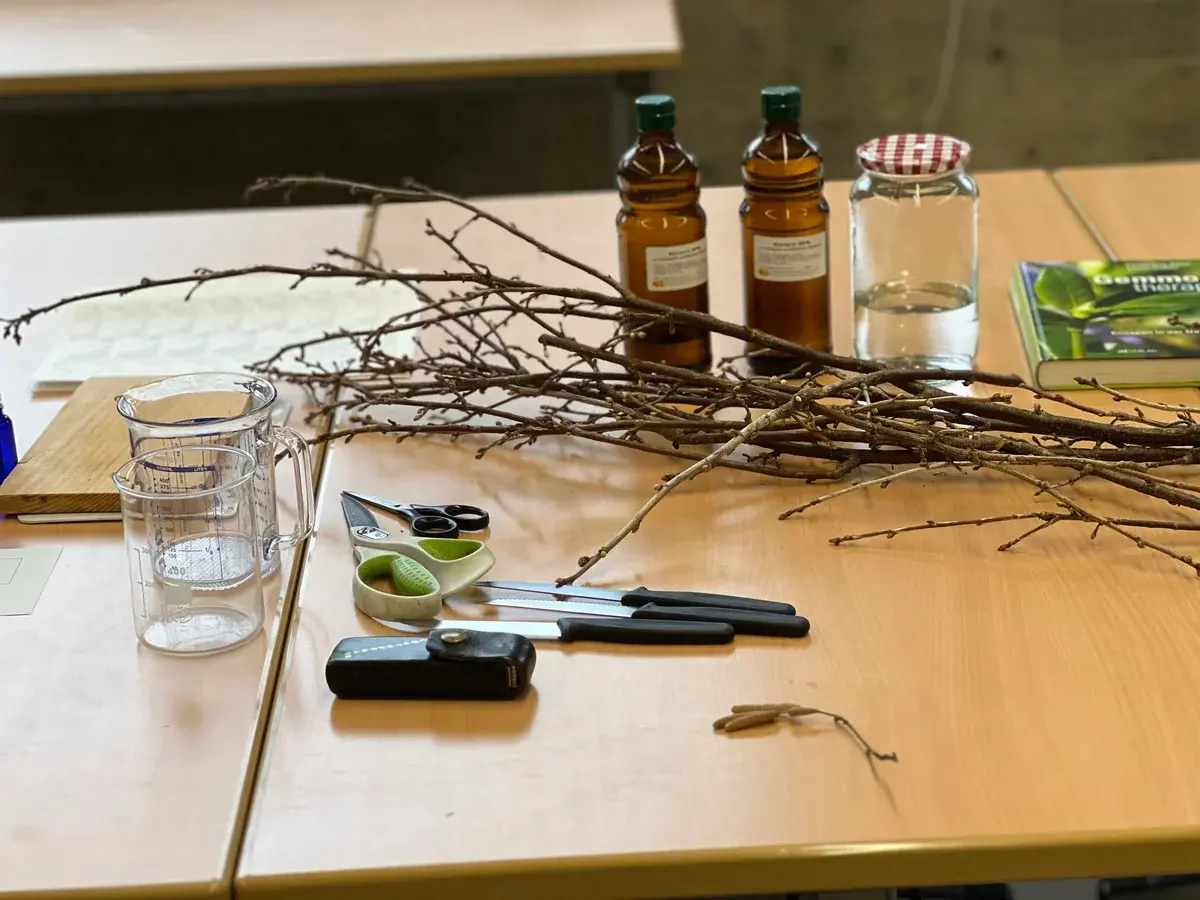 Workshop in der HLW Marienberg: Heilpflanzen - ihr Wesen, ihre Wirkung, ihre Verarbeitung ... Galeriebild 11